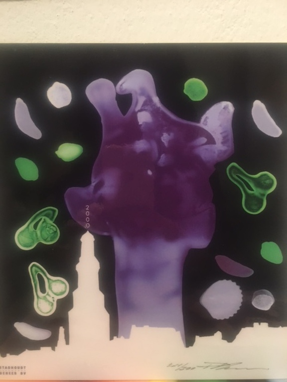 Paul Blanca - Giraf - Foto gedrukt op harde achtegrond kopen? Bied vanaf 1!