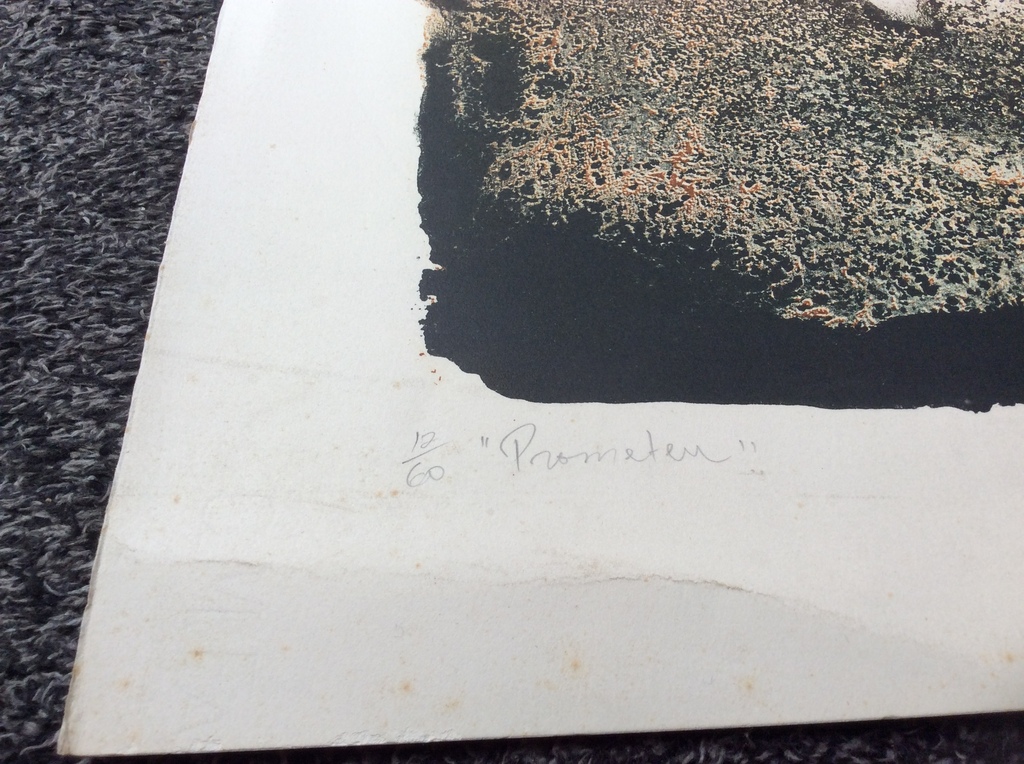 Onbekende kunstenaar - lithografie, potlood gesigneerd kopen? Bied vanaf 1!