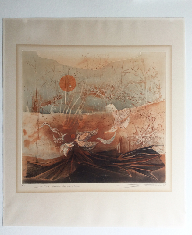 Renée Lubarow: kleurenets met reliefdruk, Les Larmes de la terre, ZZETS kopen? Bied vanaf 69!