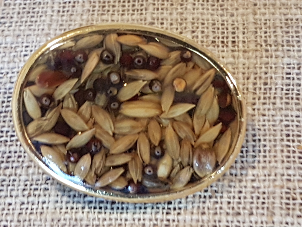 Broche met echte zaden en peperkorrels en fruit kopen? Bied vanaf 3!