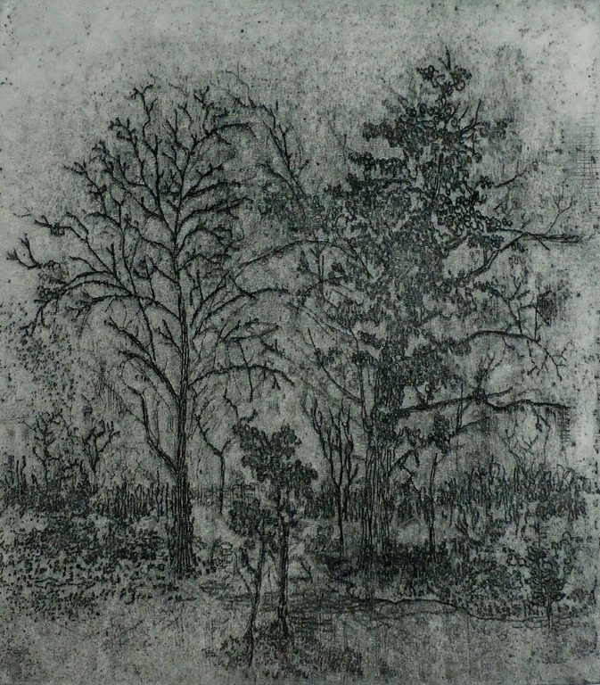 Poppe Damave - kleurenets: De tuin van de dichter  verkocht voor € 40!