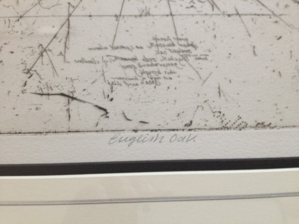 Trevor Southey, Lithografie,English Oak kopen? Bied vanaf 700!