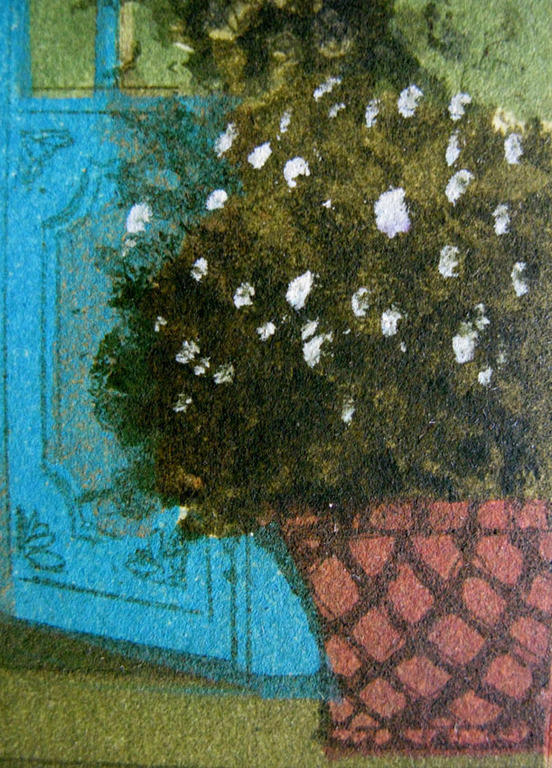 Laetitia de Haas - SERREDEUR - kleurets kopen? Bied vanaf 1!