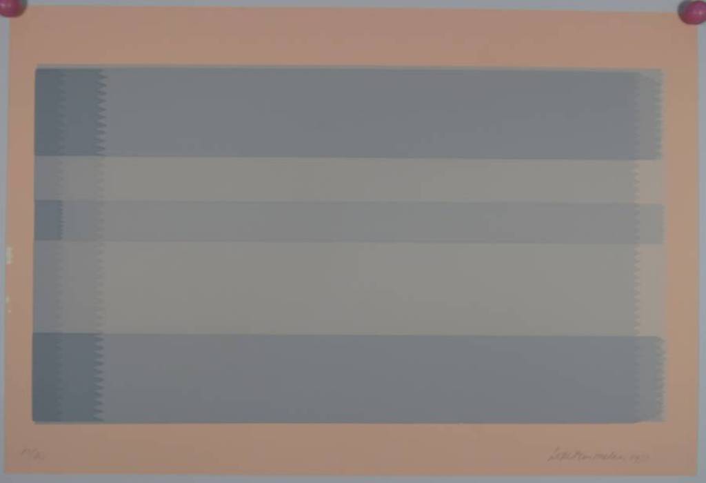 Lode Pemmelaar: Zeefdruk, Z.T. kopen? Bied vanaf 70!