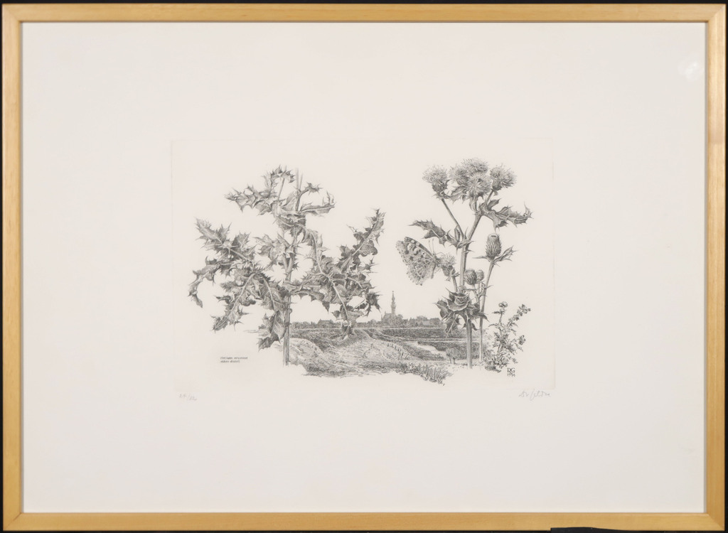 Dirk van Gelder: Ets, Akker distel - Ingelijst kopen? Bied vanaf 100!