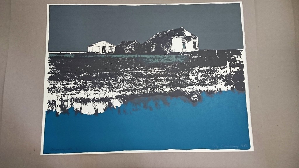 Henk Leiting,zeefdruk, Unoccupied 2 kopen? Bied vanaf 20!