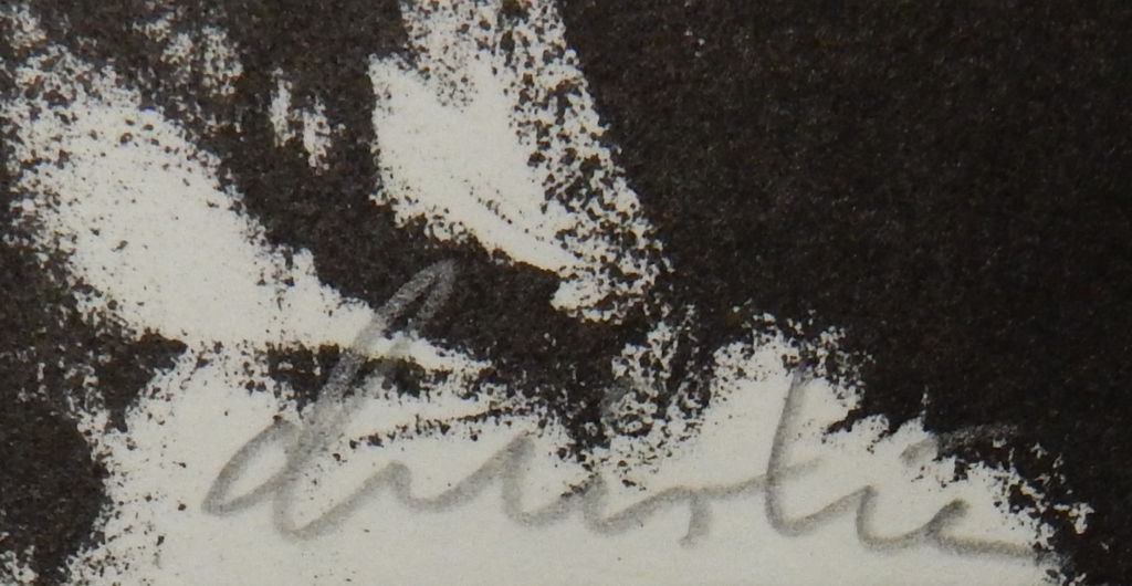 Christien ten Haaf (1953) - Lithografie - oplage 50 kopen? Bied vanaf 75!