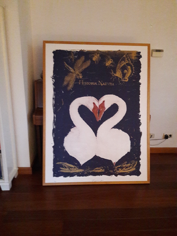 Pieter alewijns, bloemen in de nacht, zeefdruk,  kopen? Bied vanaf 500!