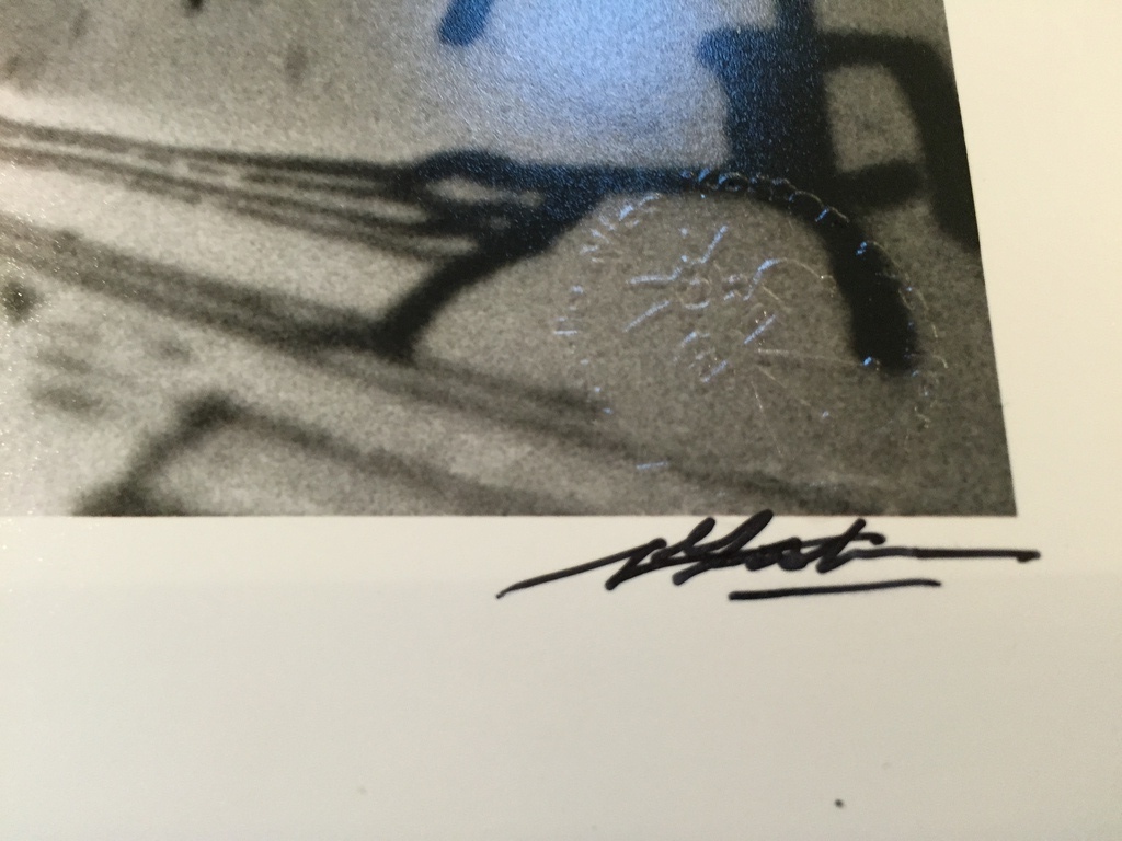 NICO KOSTER  De CoBrA en Heyboer Fotograaf  ANTON HEYBOER kopen? Bied vanaf 1!