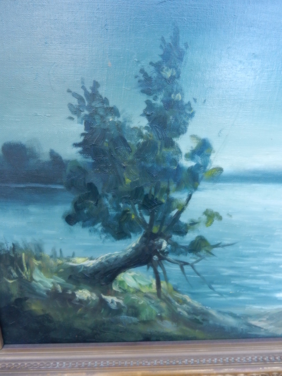 onbekende kunstenaar,vermoedelijk Amerikaan, nacht over het meer,  kopen? Bied vanaf 100!