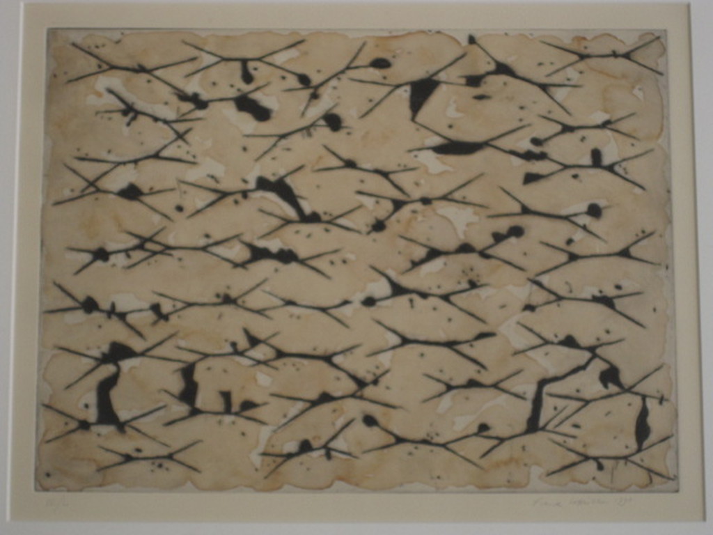 Fraaie grote handgekleurde en gesigneerde zeefdruk van Frank Lodeizen 1931-2013 kopen? Bied vanaf 1!