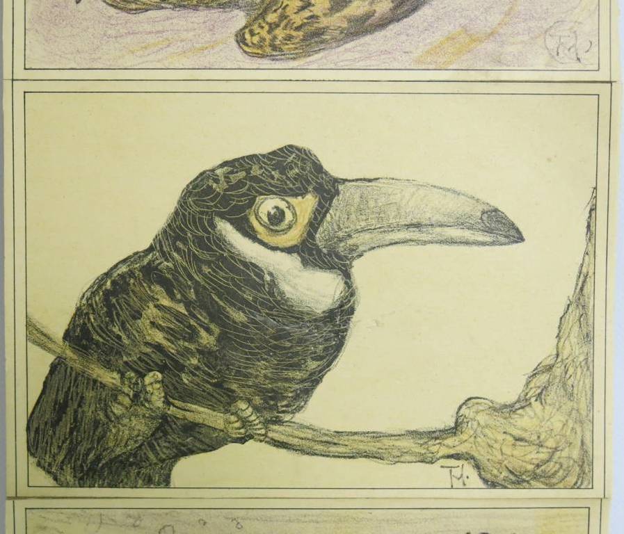 Theo van Hoytema: 3x Kleurenlitho, Dieren kopen? Bied vanaf 20!