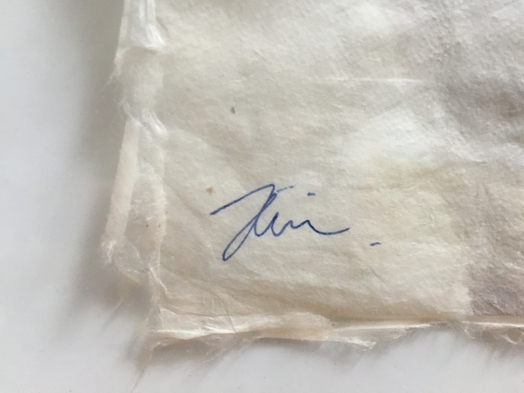 Jac Gijzen mixed media    NEPAL kopen? Bied vanaf 1!