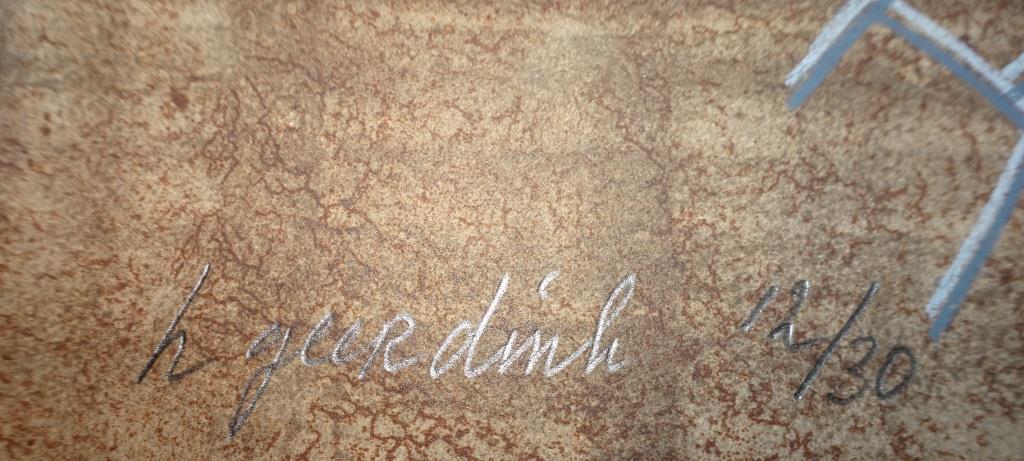 Herman Geerdink Kleurenlitho Reality kopen? Bied vanaf 50!