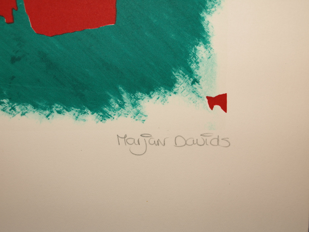 Marjan Davids – Zeefdruk – Kunstacademie MINERVA Groningen – 1994 kopen? Bied vanaf 1!