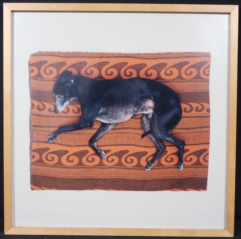 Maarten Wetsema: Foto op aluminium, Rik op kleed - Ingelijst kopen? Bied vanaf 1!