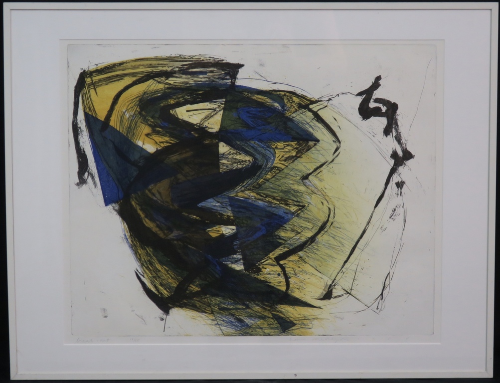 Hans Vredegoor: Kleurenets, Break Out -Ingelijst kopen? Bied vanaf 35!