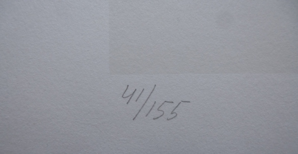 Klaas Gubbels, zeefdruk: Verlegen schaduwen 2, handgesigneerd en genummerd kopen? Bied vanaf 125!