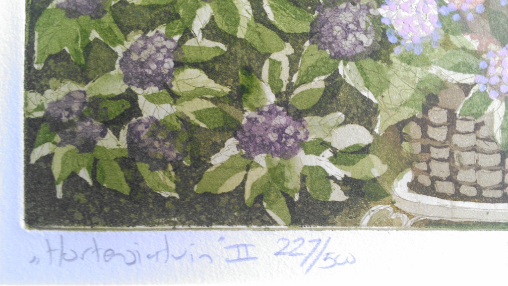 Hortensiatuin II kopen? Bied vanaf 27!