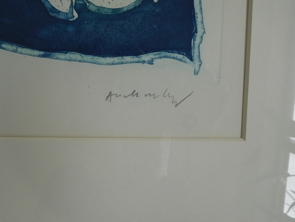 Pierre Alechinsky, Ets/ Aquatint, Titel "Volcan de Nuit", Nummer 74/100, 1972 kopen? Bied vanaf 650!