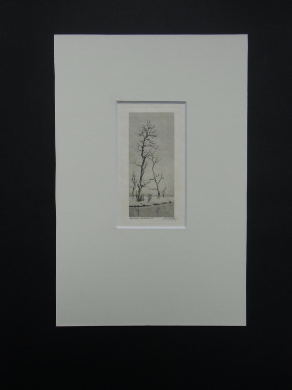 SNEEUWLANDSCHAP MET BOMEN // ETS VAN DIRK HARTING kopen? Bied vanaf 15!