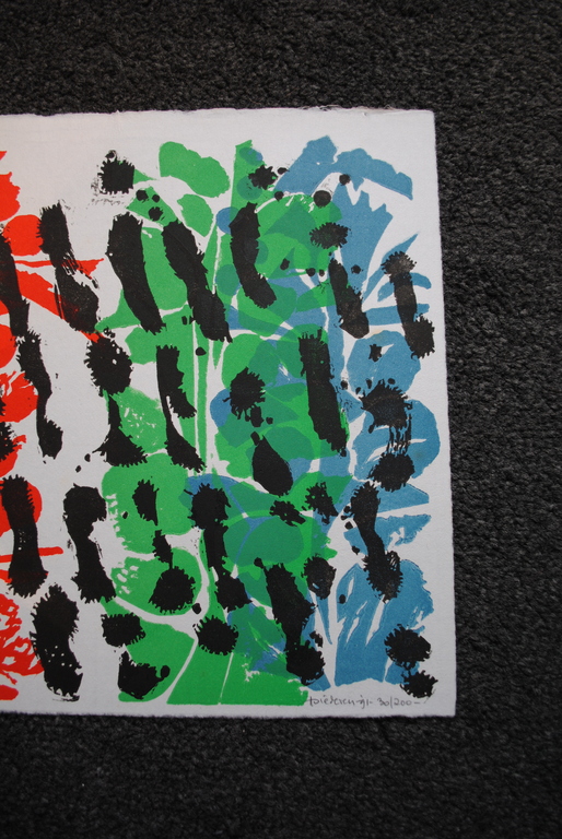 Jef Diederen - 4 kleuren lino op rijstpapier - 1991 + boek - luxe editie kopen? Bied vanaf 55!