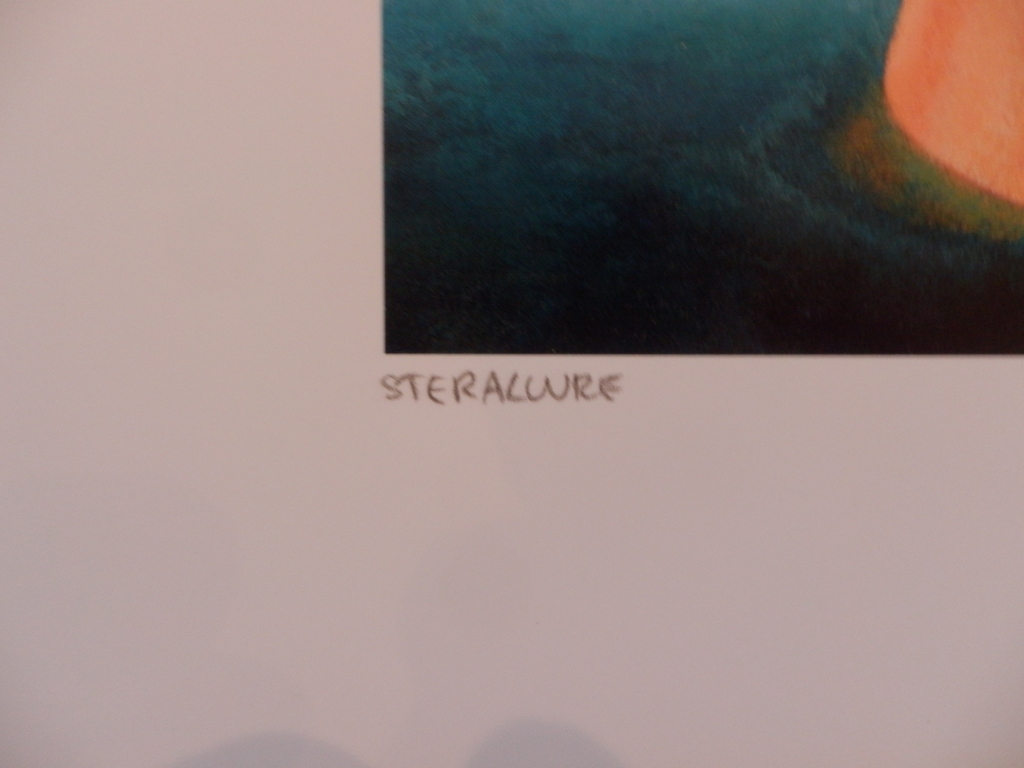 YVONNE ZOMERDIJK  Giclee  STERALLURE  Handgesigneerd kopen? Bied vanaf 1!