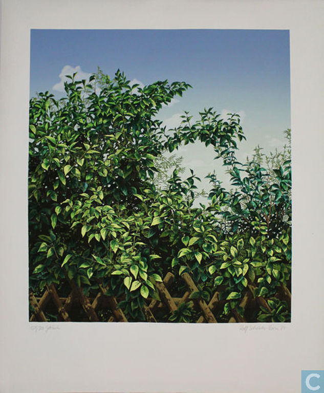 Rolf Schröder-Borm - Gebüsch - Lithografie - handgesigneerd - Oplage: 500 - 1974 kopen? Bied vanaf 1!