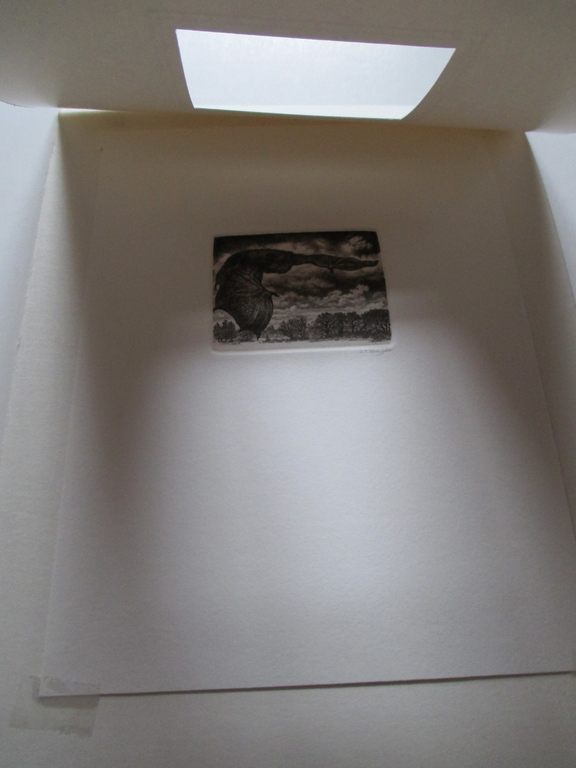 Anneke Kuijper, etsje vleermuis. kopen? Bied vanaf 25!