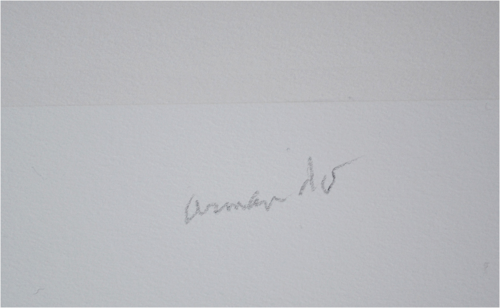 Armando, kleuren giclee, handgesigneerd, oplage 25, 2015 kopen? Bied vanaf 1!