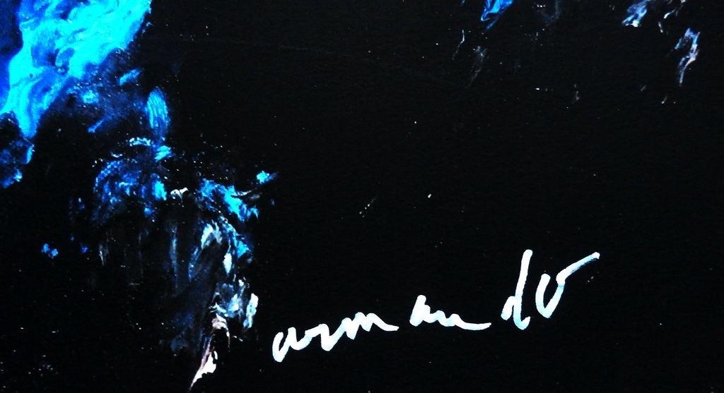 ARMANDO. Mooie Giclee. -Pflanze- 2014. Oplage slechts 30. DE LAATSTE! kopen? Bied vanaf 209!