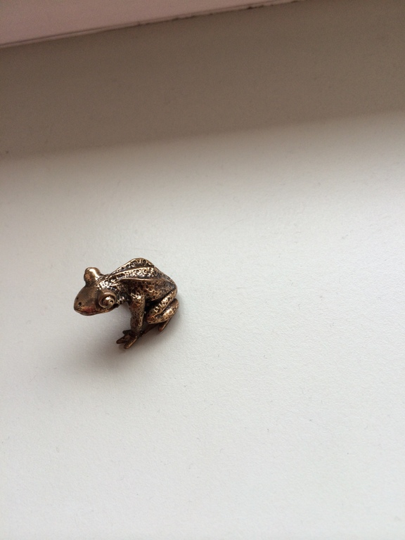 Kikkerbeeldje kopen? Bied vanaf 25!