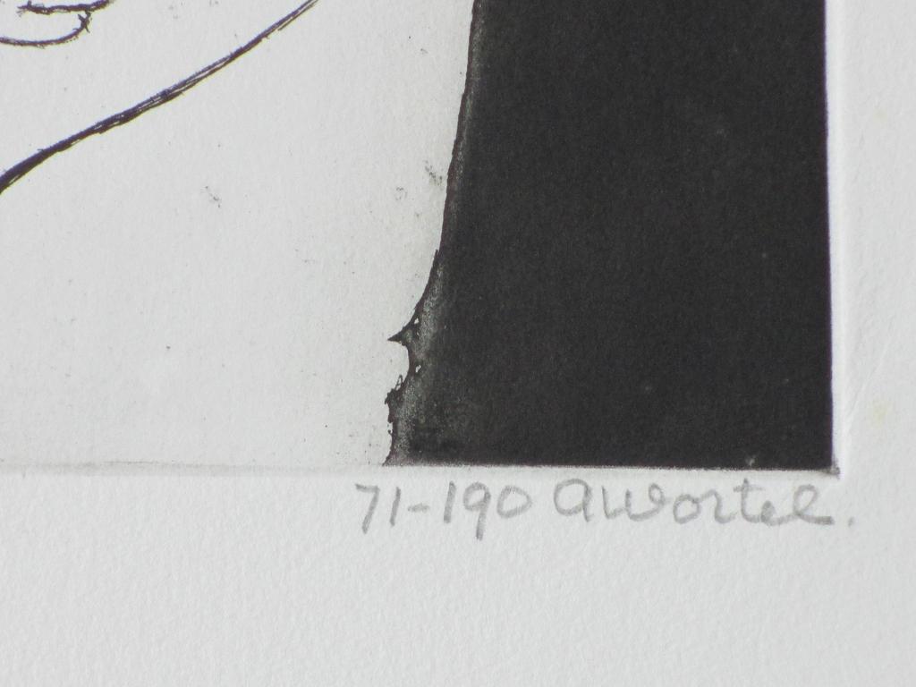 Ans Wortel, Uitgangspunt voor Vlinders, Kleurets kopen? Bied vanaf 65!