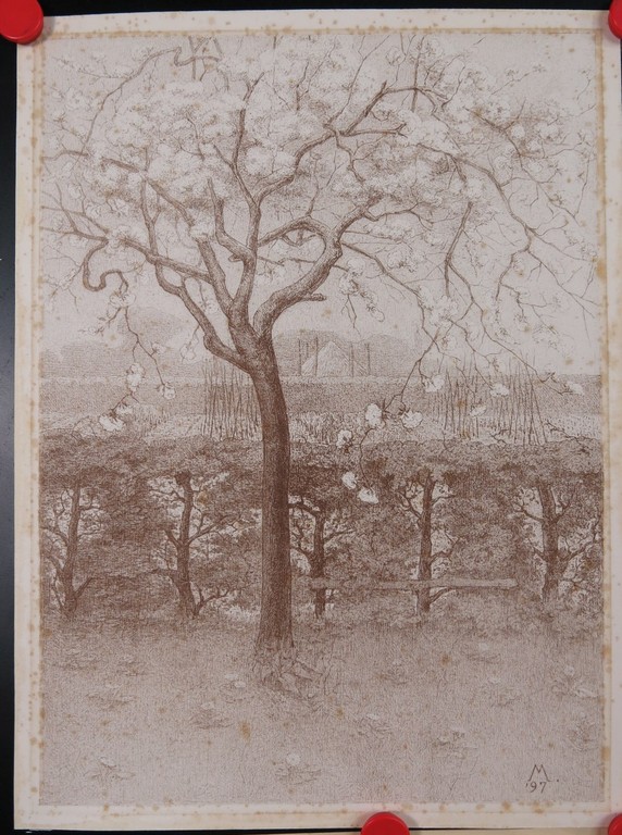 Lot met 4 werkjes, o.a. Sal Meijer: Litho, Kippen op een erf  kopen? Bied vanaf 1!