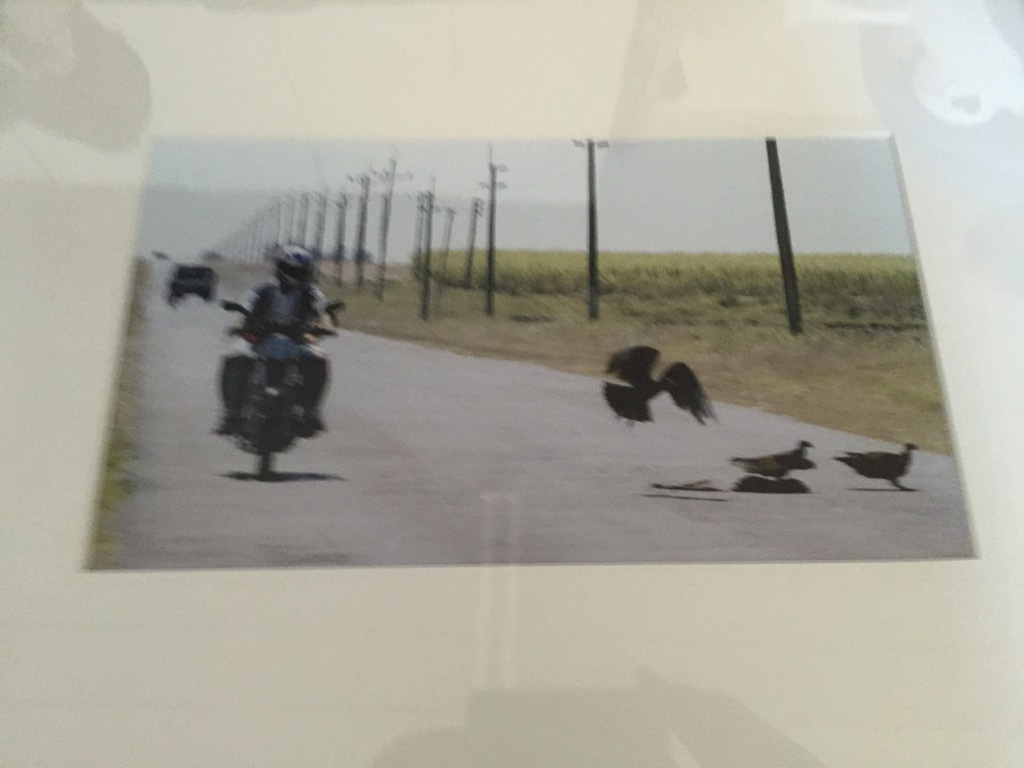 NICO KOSTER  CUBA CORNEILLE kopen? Bied vanaf 1!