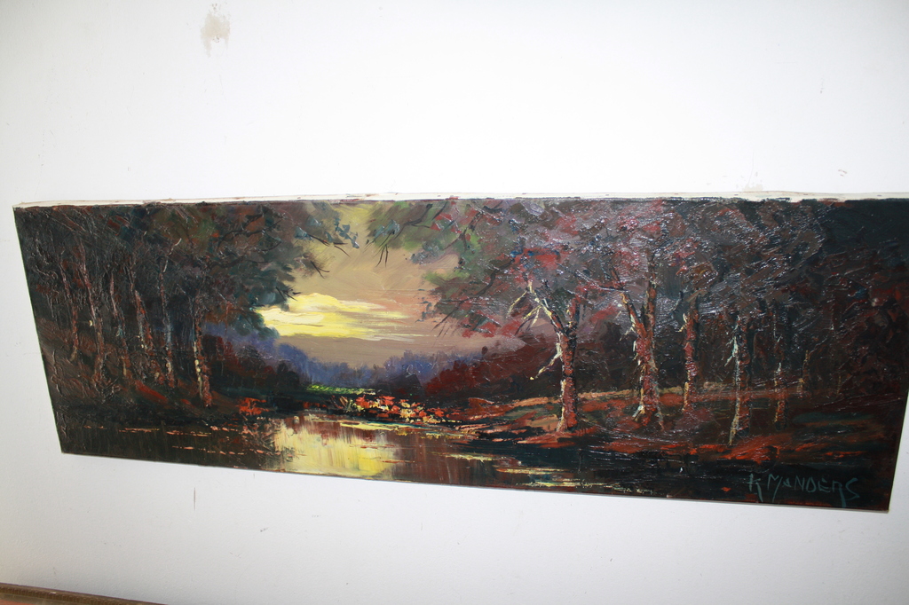 kees MANDERS grootformaat PARK LANDSCHAP kopen? Bied vanaf 1!