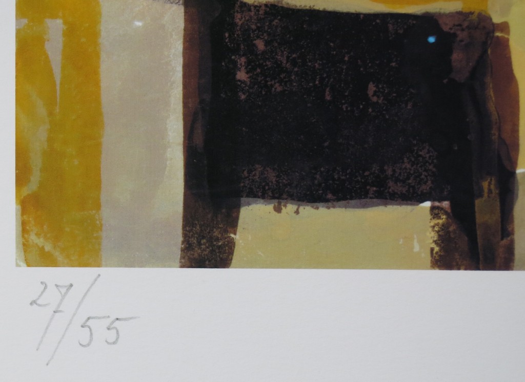 Theo Kuijpers: Giclee op papier, Z.T. geel kopen? Bied vanaf 20!
