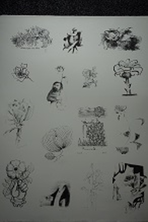 Peter Vos, litho bijdrage voor Stichting de Roos,diverse kunstenaars. kopen? Bied vanaf 25!