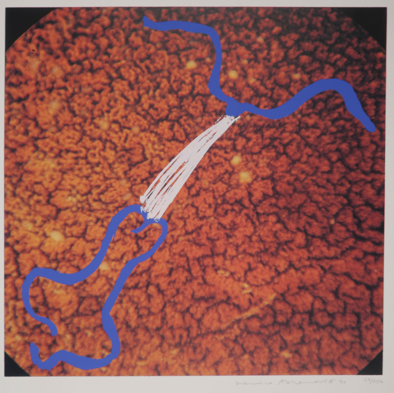 Marina Abramovic: Zeefdruk, Z.T. verkocht voor € 115!