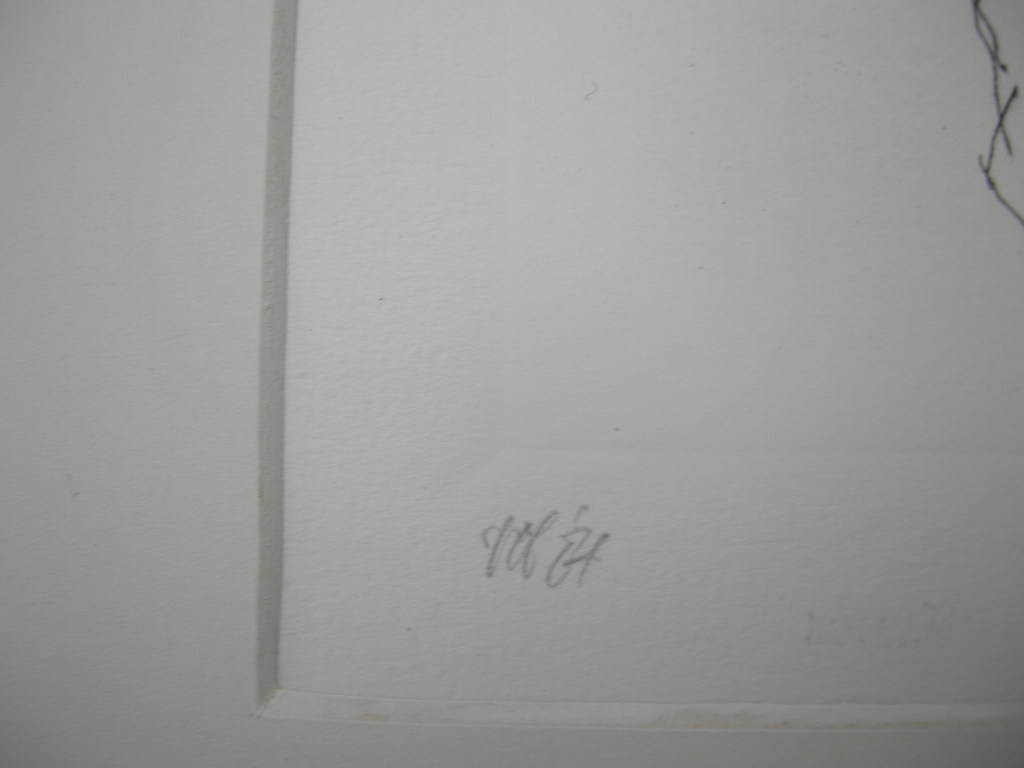 Peter Vos, droge naald, Zwart licht kopen? Bied vanaf 100!