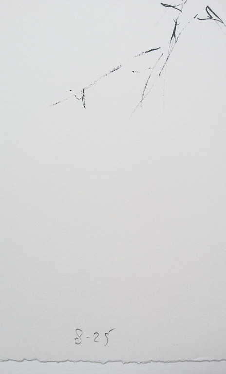 Marc Mulders, Paul van Dongen en Reinoud van Vught - Anatomie V, litho kopen? Bied vanaf 200!