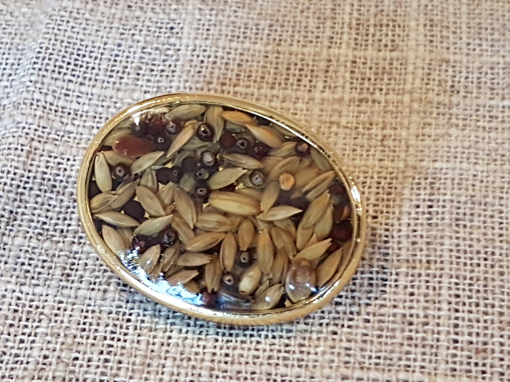 Broche met echte zaden en peperkorrels en fruit kopen? Bied vanaf 3!