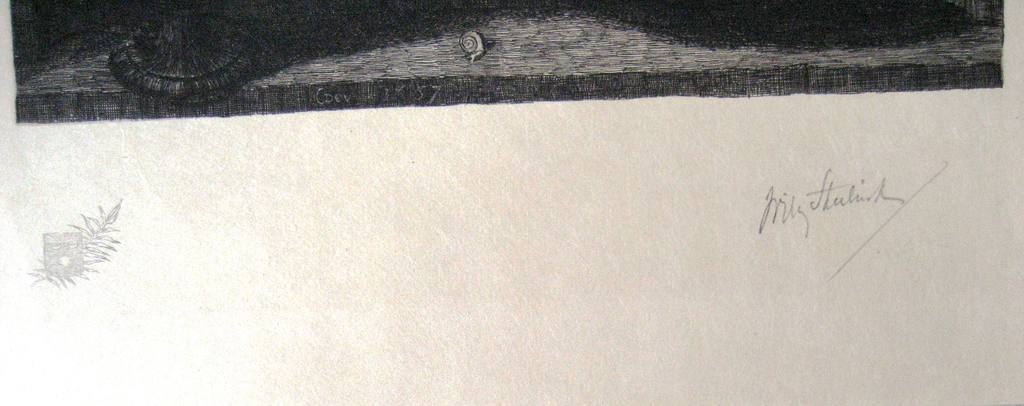 Originele, handgesigneerde ets van Willem Steelink (1856-1928) kopen? Bied vanaf 20!