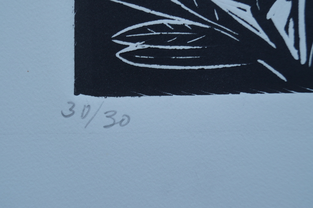 John Lie a Fo - gesigneerde zeefdruk - 30 ex. kopen? Bied vanaf 25!