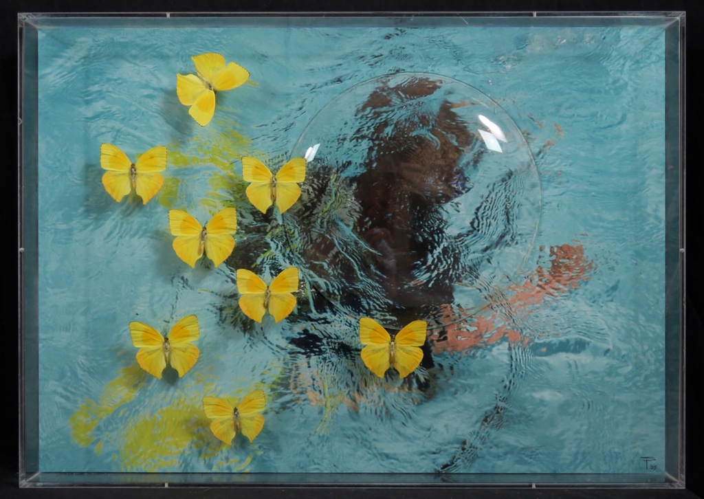 Pamela Schellekens: Kijkkastje, Wat ik nodig heb ... - Ingelijst kopen? Bied vanaf 100!