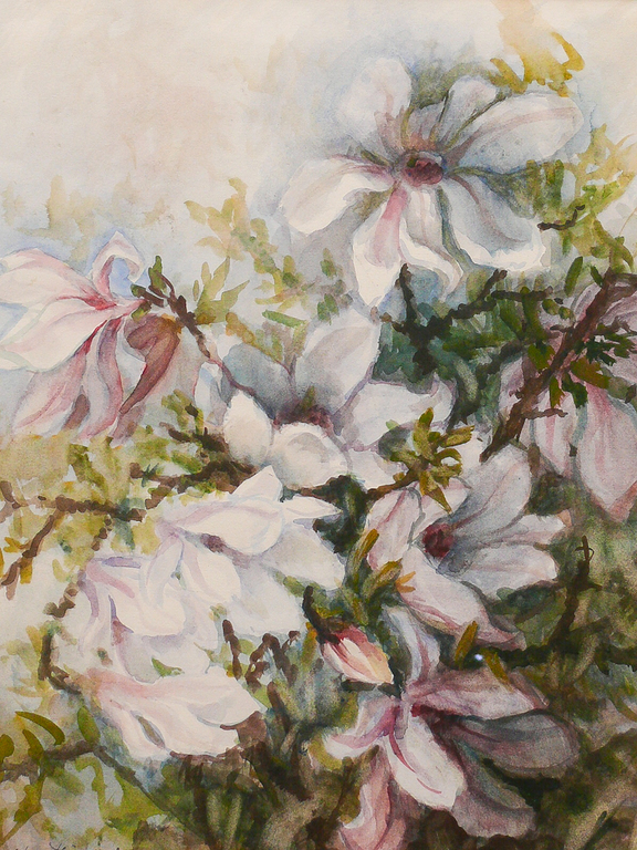 Eva Jorrtisma-Thöne, aquarel, Magnolia kopen? Bied vanaf 75!