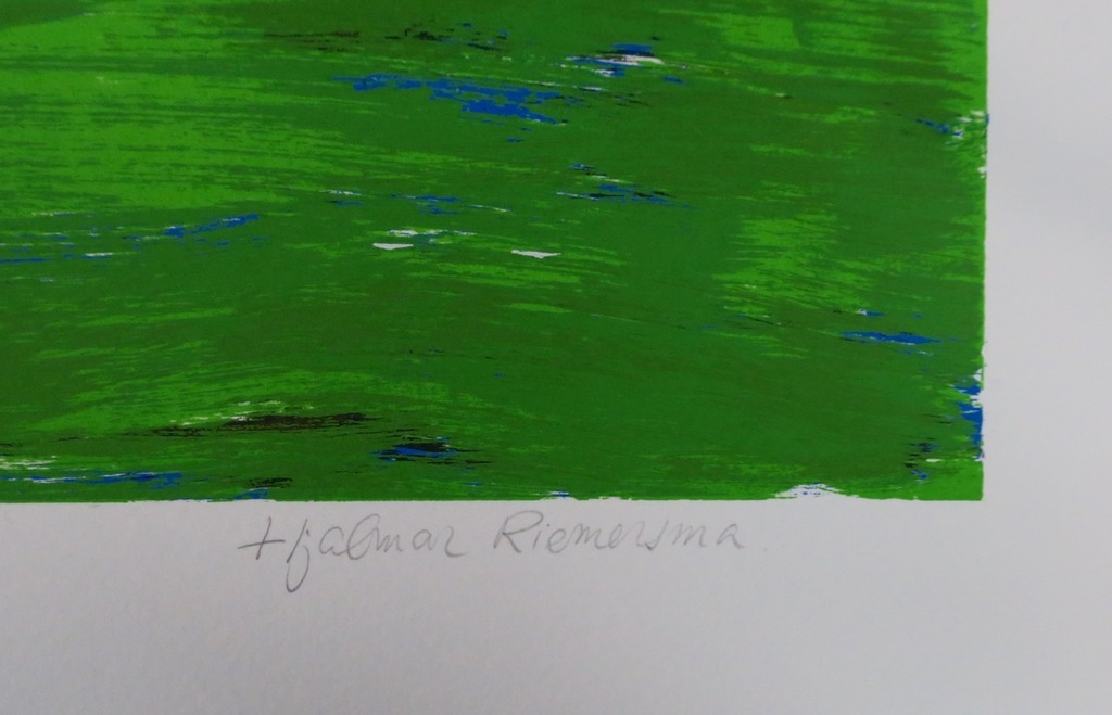 Hjalmar Riemersma: Zeefdruk, Sterrendorp kopen? Bied vanaf 1!