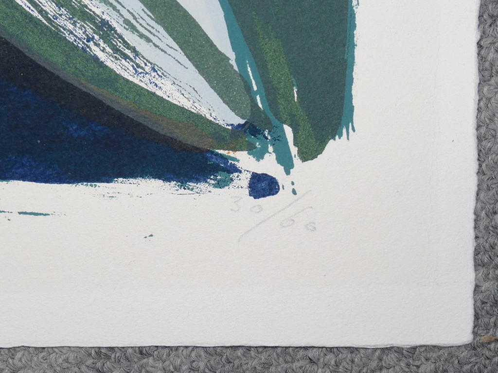 Piet Warffemius: grote zeefdruk 'Verschillend Hetzelfde' 1992, handgesigneerd kopen? Bied vanaf 120!