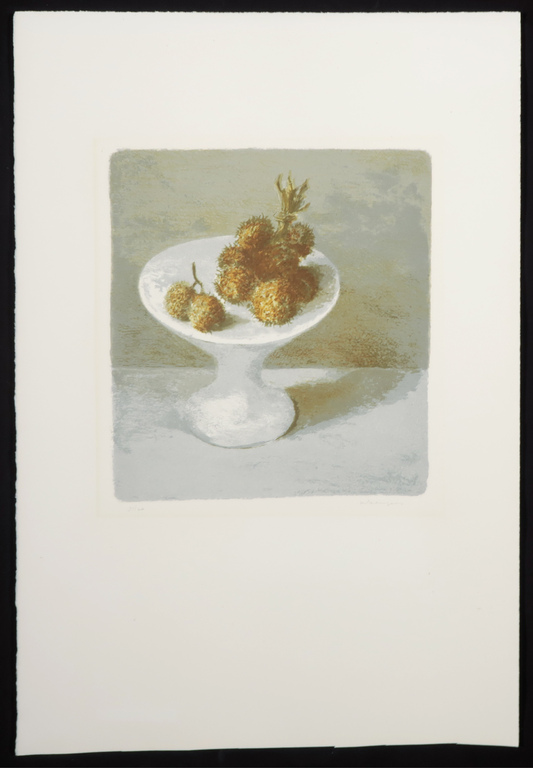 Mart Kempers: Litho, Ramboetan kopen? Bied vanaf 20!