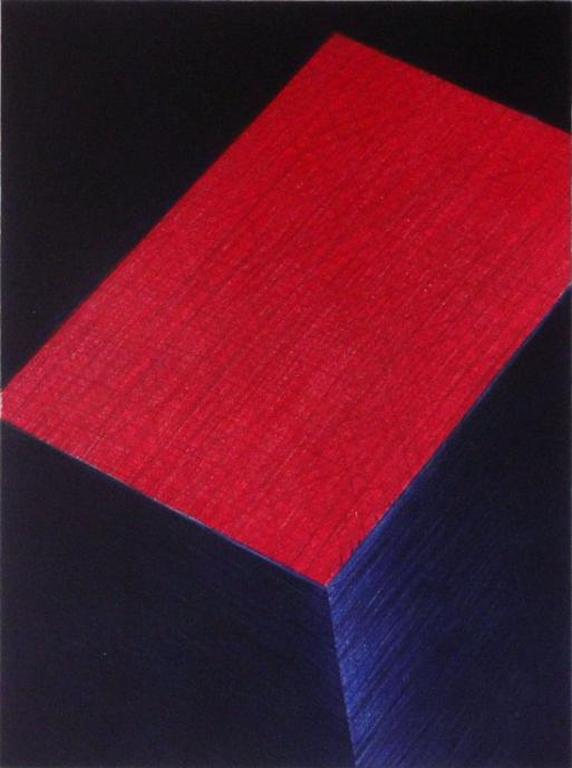 Jeroen Henneman: Rood Vlak zeefdruk kopen? Bied vanaf 195!